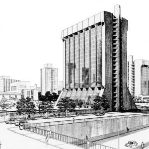 perspectiva-IBM