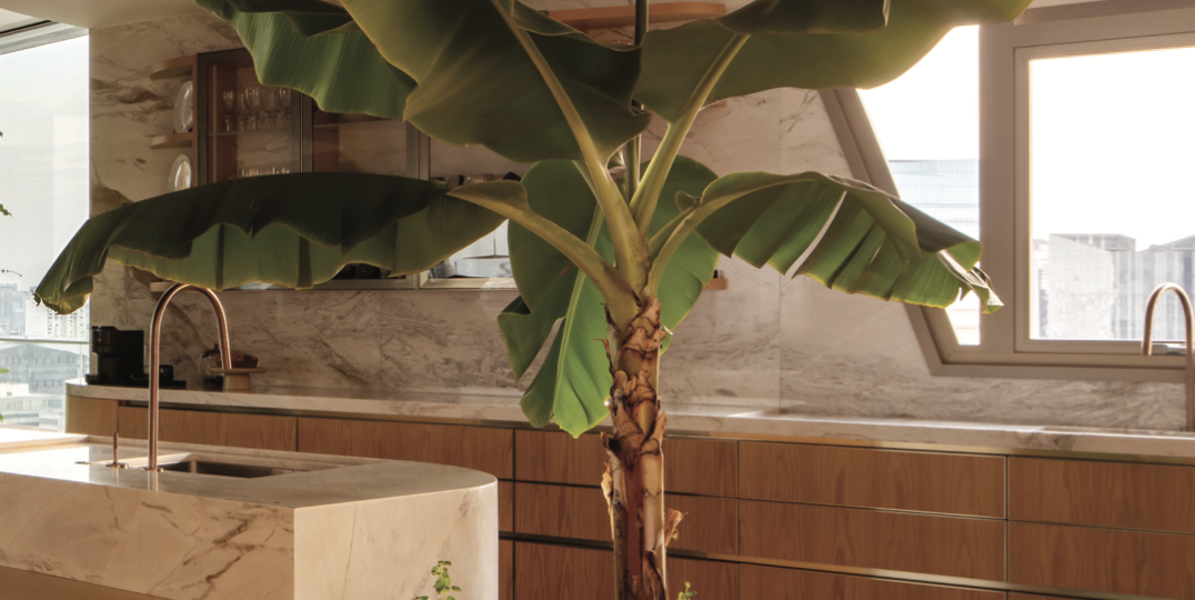 biofilia-edesign-magazine