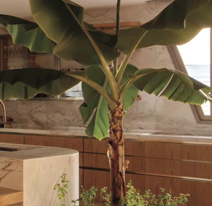 biofilia-edesign-magazine