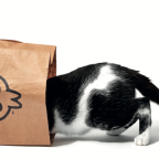 Captura de Tela 2026-03-19 às 09.34.37